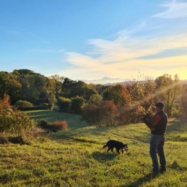 Why Domaine de L'Eglantière is the Ideal Place to Experience French Culture?