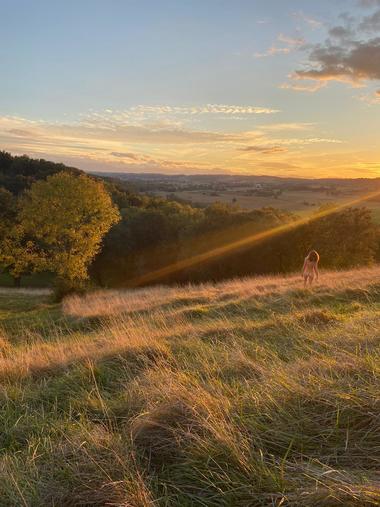 How to become a naturist?